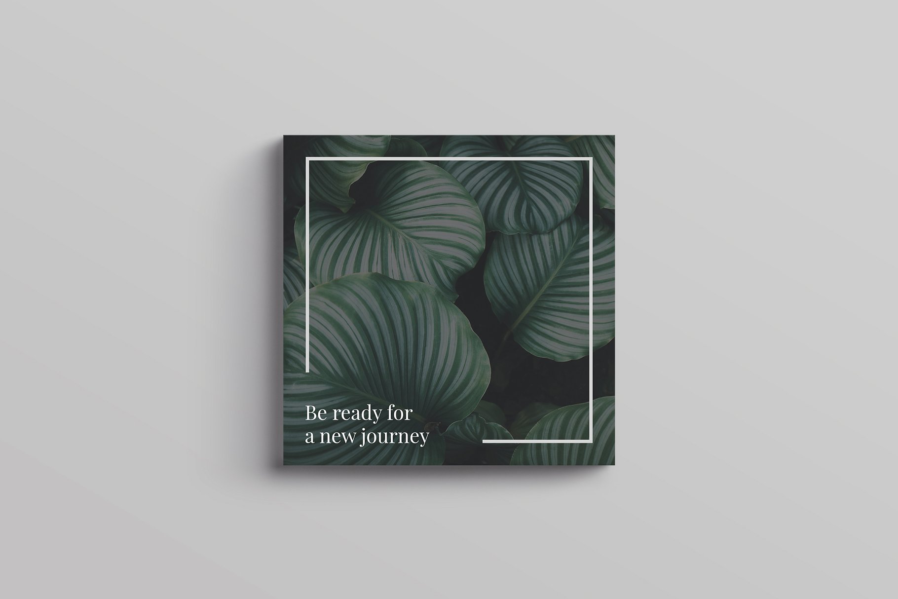 时尚巴黎风格社交媒体素材包 Paris Social Media Pack插图(4)