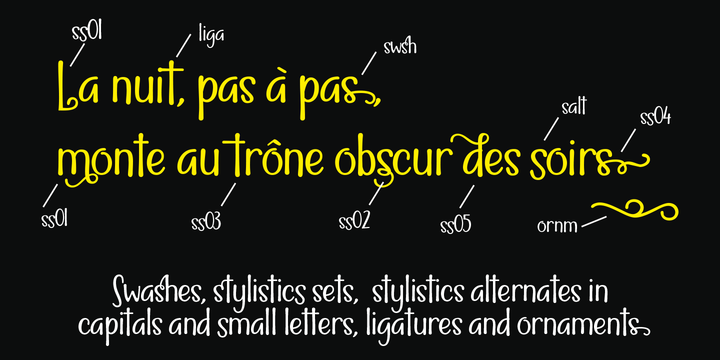 Nuit Font Family插图1
