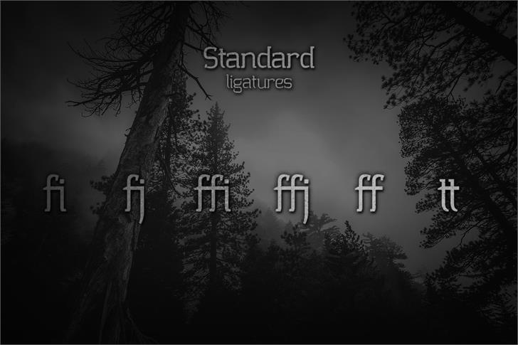 Collazio Personal Use font插图3 Collazio Personal Use font插图3