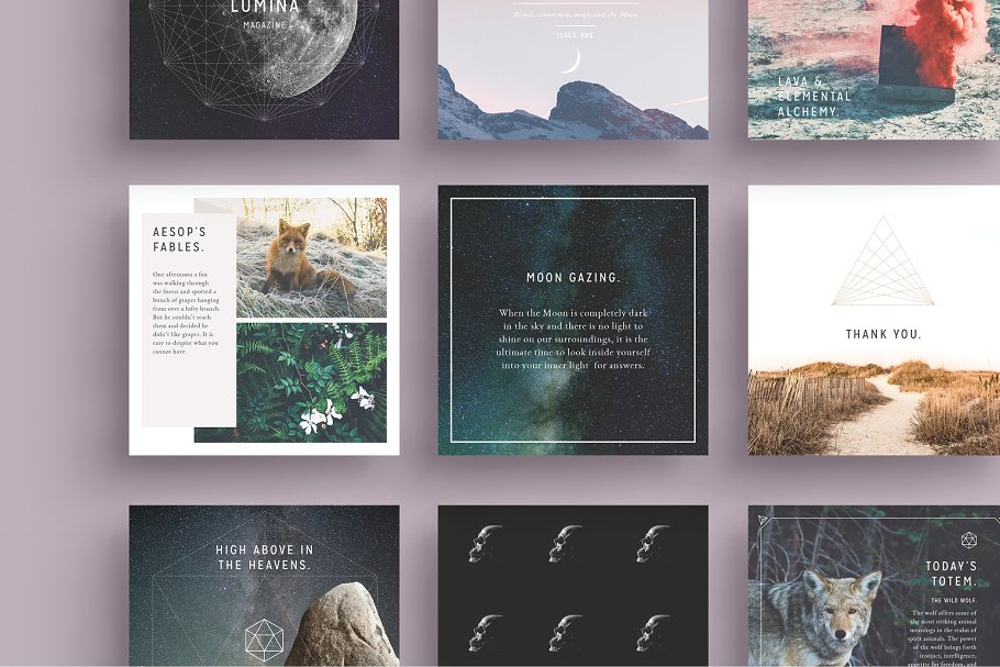 多用途现代简约贴图模板素材库精选[1.02GB, Instagram版本] LUMINA Instagram Pack插图(8)