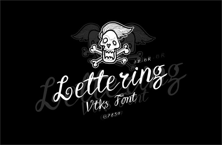 Vtks Lettering font插图