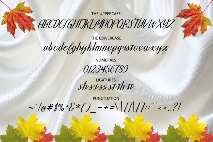 Al Waliya Font插图4