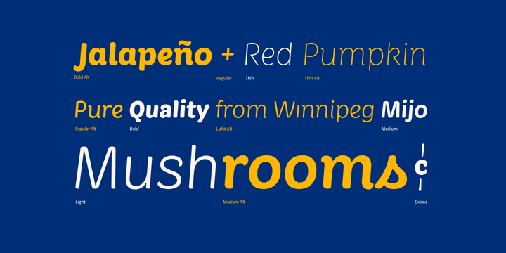 Market Font Family 12插图6