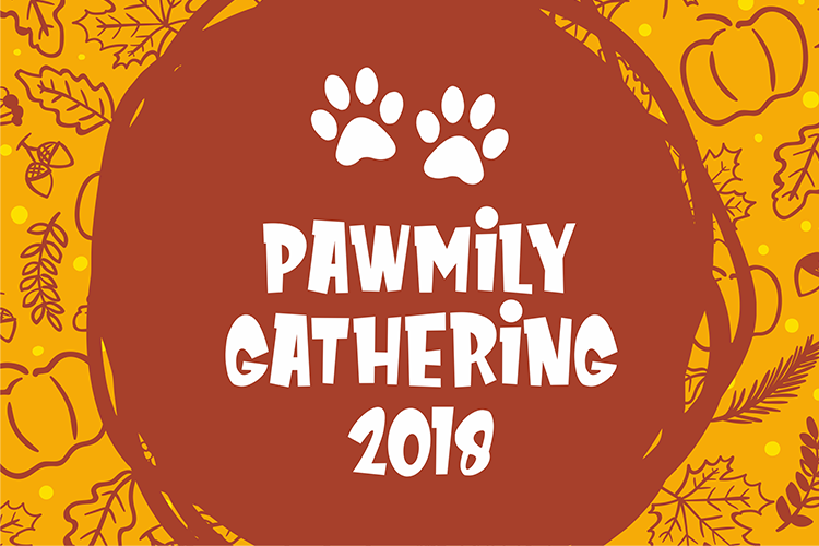 Meowza Other Font插图2