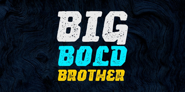 Lemoo Font Family插图1