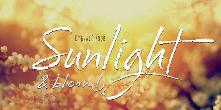 Cherry Blossoms Font Family插图2