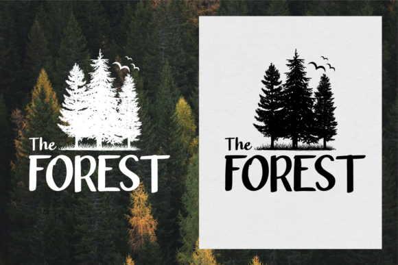 Blanford Font插图1