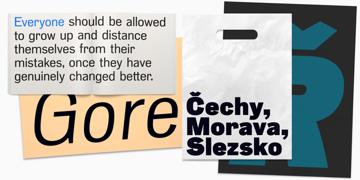 Slavia Font Family插图1