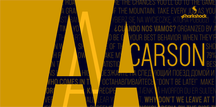 Carson font插图3 Carson font插图3