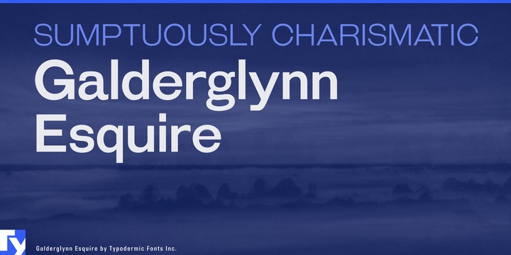 Galderglynn Esquire Font Family插图