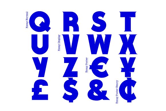 Essay Font Family插图1