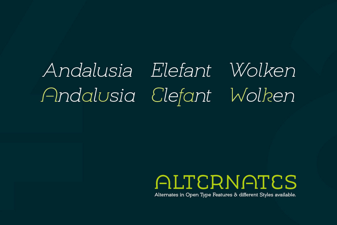 Umba Slab Font Family插图4