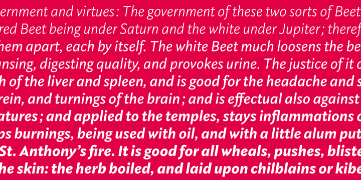 Rubiesque Font Family插图4