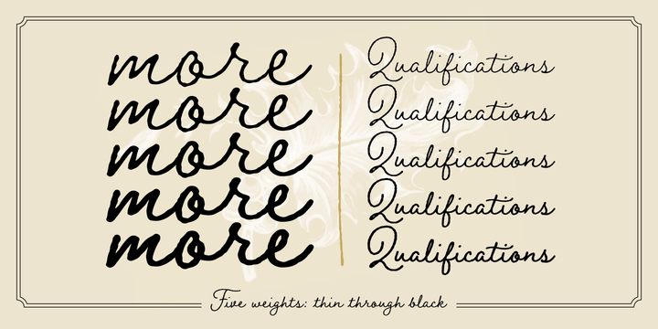 Braisetto Font Family插图3