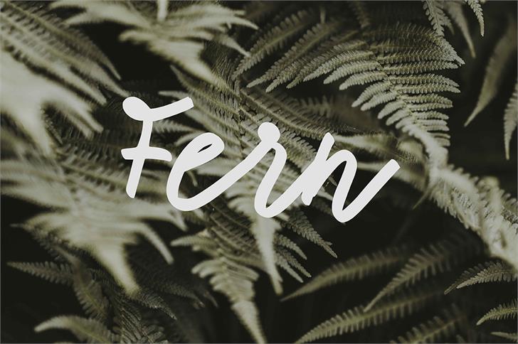 Tadworth font插图3 Tadworth font插图3