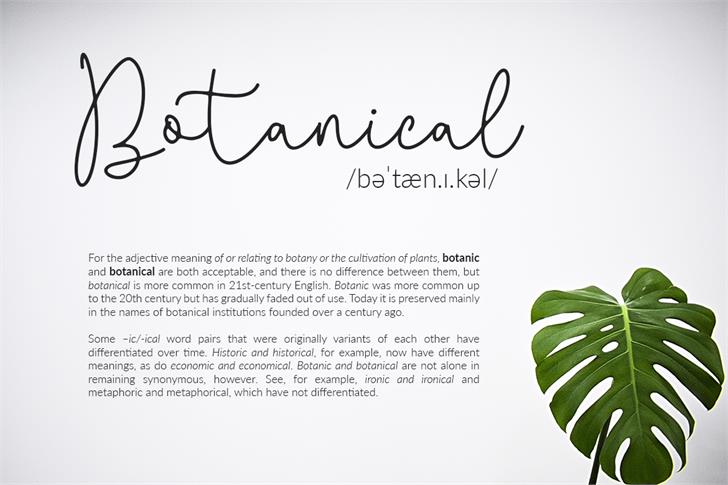 Questa Whitte font插图2 Questa Whitte font插图2