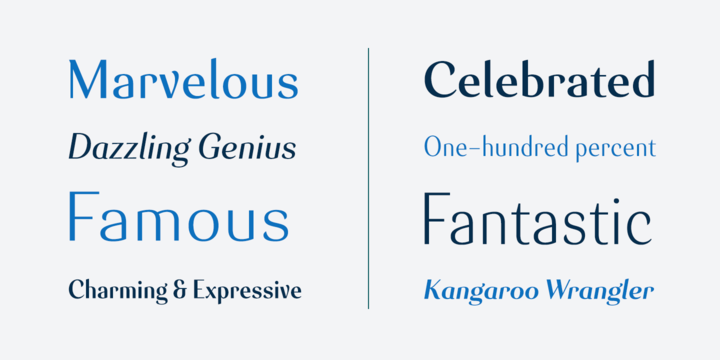 Senlot Font Family插图4