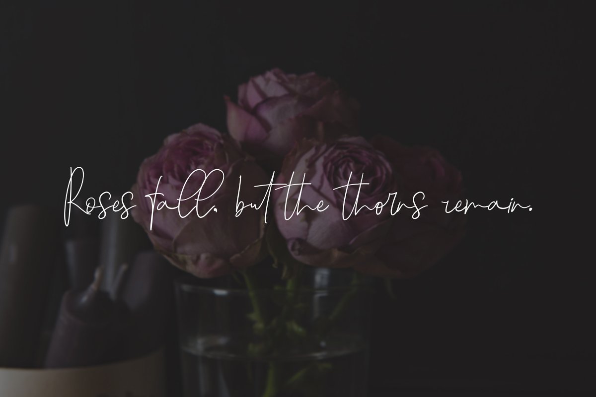 Dark Lunatic Duo Font插图3