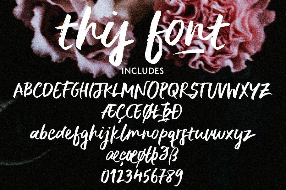 Delirium | a brush font duo插图2
