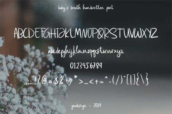 Baby’s Breath Font插图1