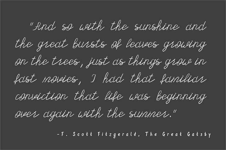 Olster font插图4 Olster font插图4