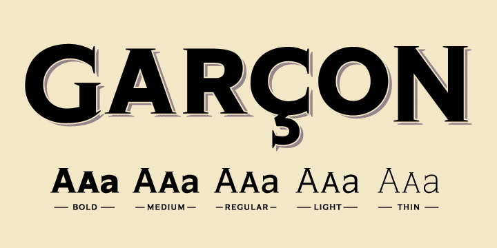 Garcon Grotesque Font Family插图