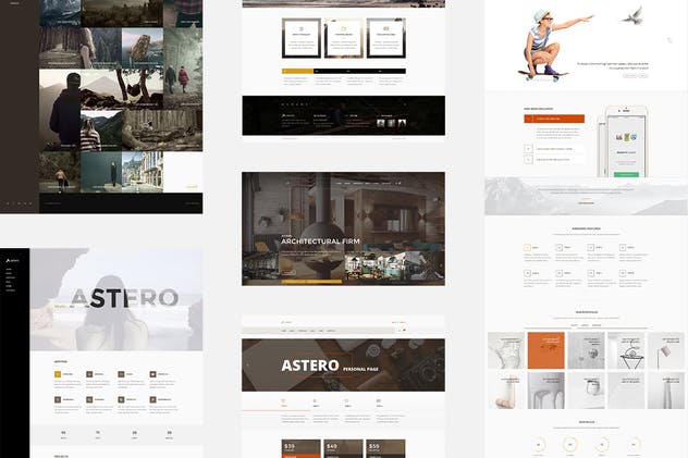 多用途创意产品展示/博客/在线商店网站模板素材库精选 Astero — Multipurpose Portfolio | Blog | Store PSD插图(4)