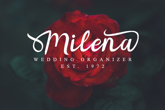 Noorlita Beautiful Calligraphy Font插图4