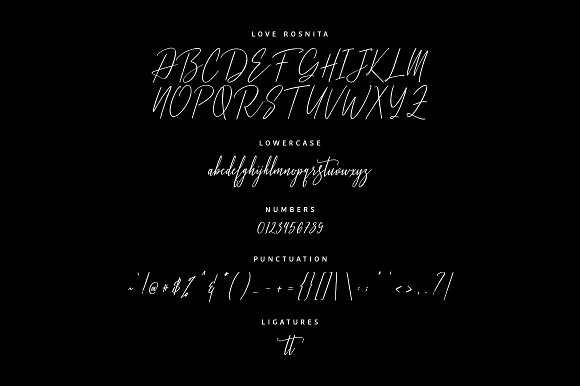 Love Rosnita – Font Duo插图5