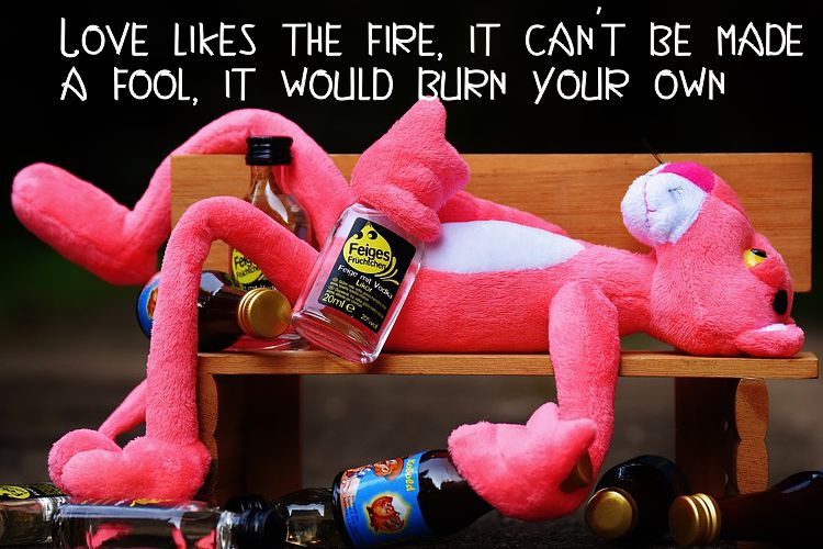 Kingdom Regular Font插图3