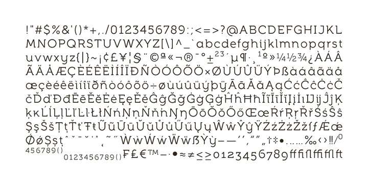 Full Neue Font Family插图3