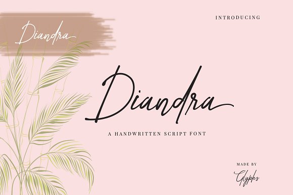 Diandra Signature font插图