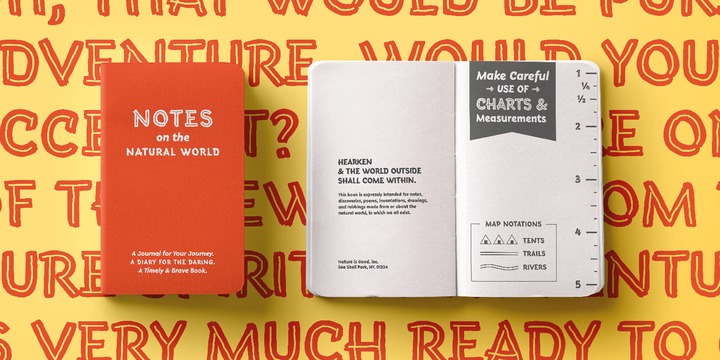 Terry Junior Font Family插图2