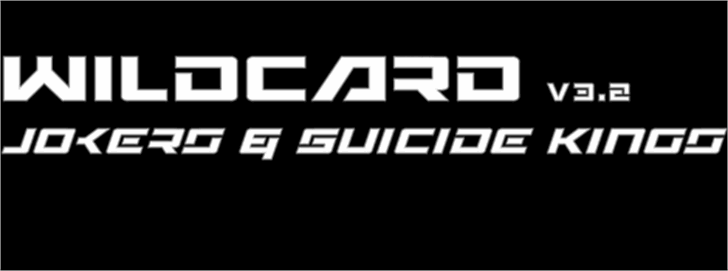 Wildcard font插图1