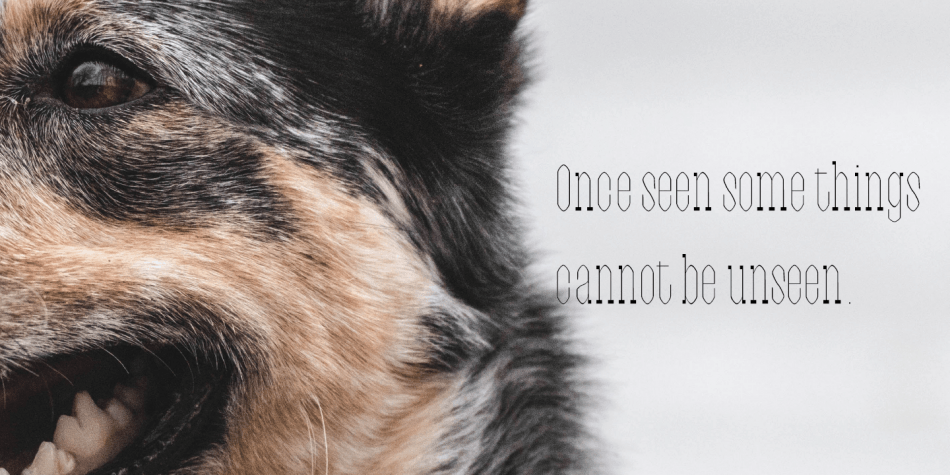 Chadstone Font插图3