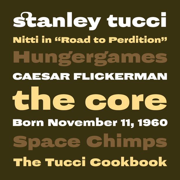 Stanley Font Family插图1