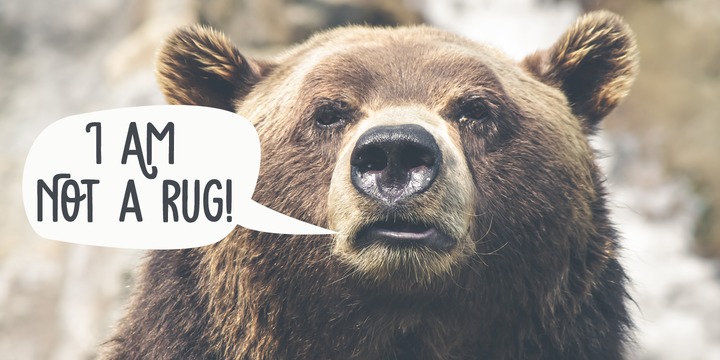 Bearskin Font Family插图1