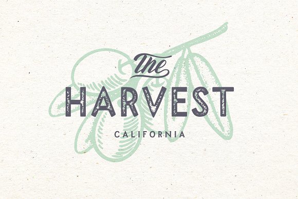 Madfish Font Family插图3