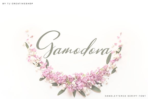Gamodora Font插图