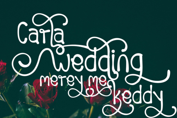 Huming Book Font插图1