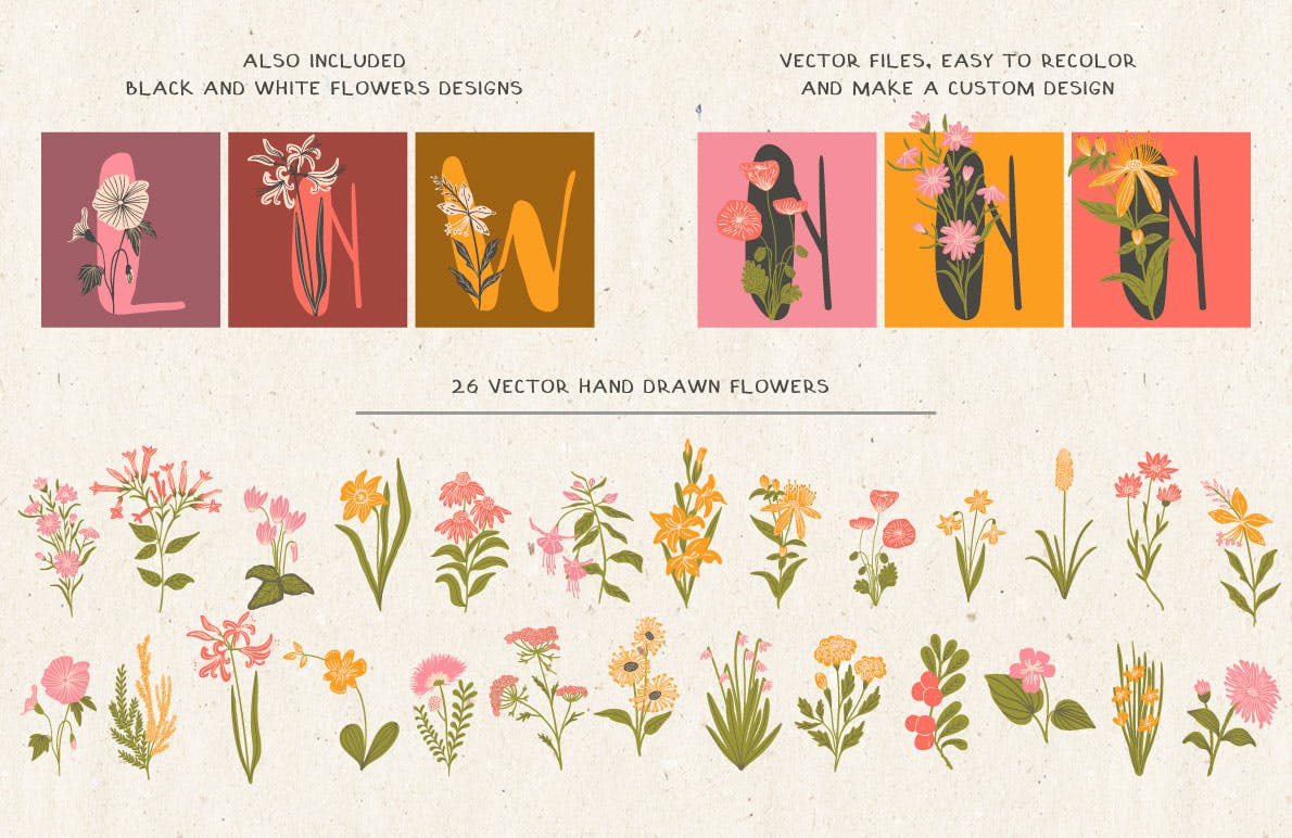 植物花卉装饰英文字母手绘素材 Floral Illustrated Alphabet插图(4)