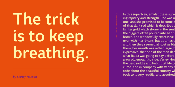 Blond Font Family插图2