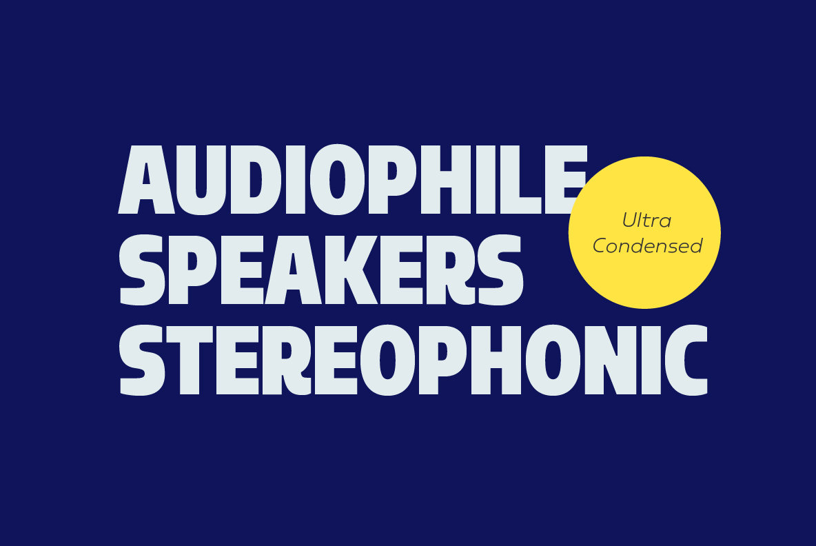 Sarun Font Family插图5