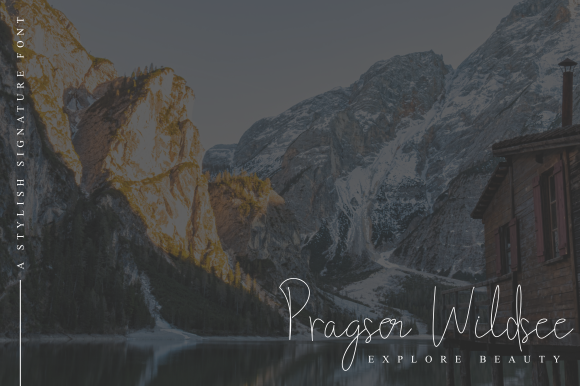 Steffano Font插图1