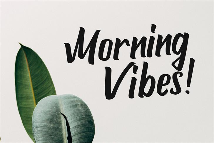 Attemptyon font插图1