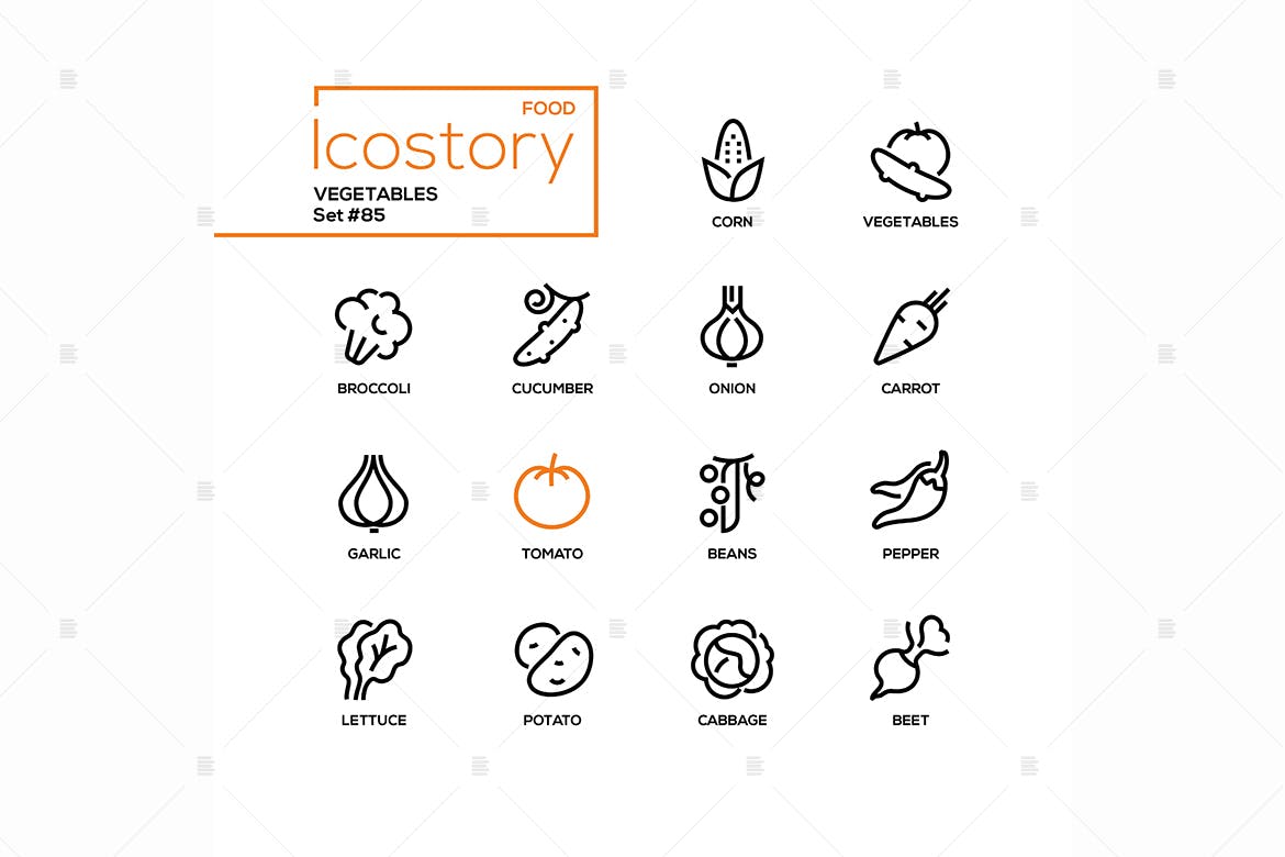 现代设计风格蔬菜主题矢量线性素材库精选图标 Vegetables – modern line design style icons set插图(1)