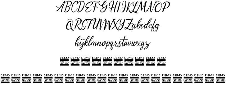 Alishader Demo font插图1 Alishader Demo font插图1