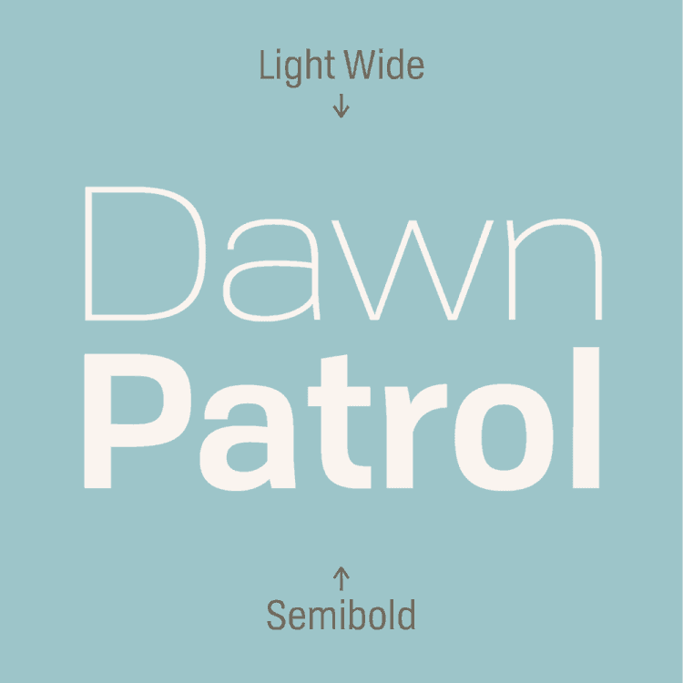 Tofino Pro Font Family插图1