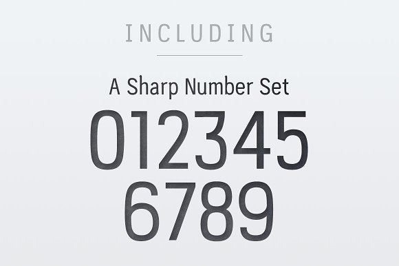 PC Navita – Regular插图2