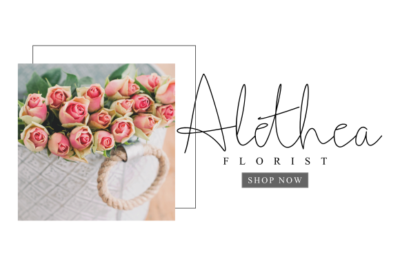 Steffano Font插图4